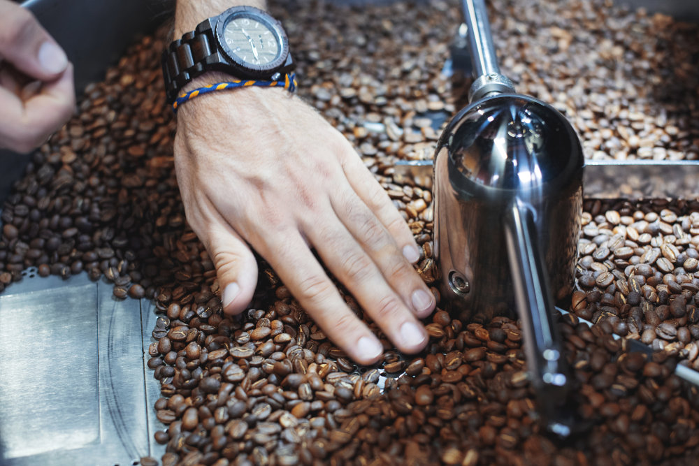 torréfaction du café