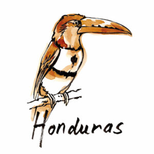 Café de la ferme Gaïa