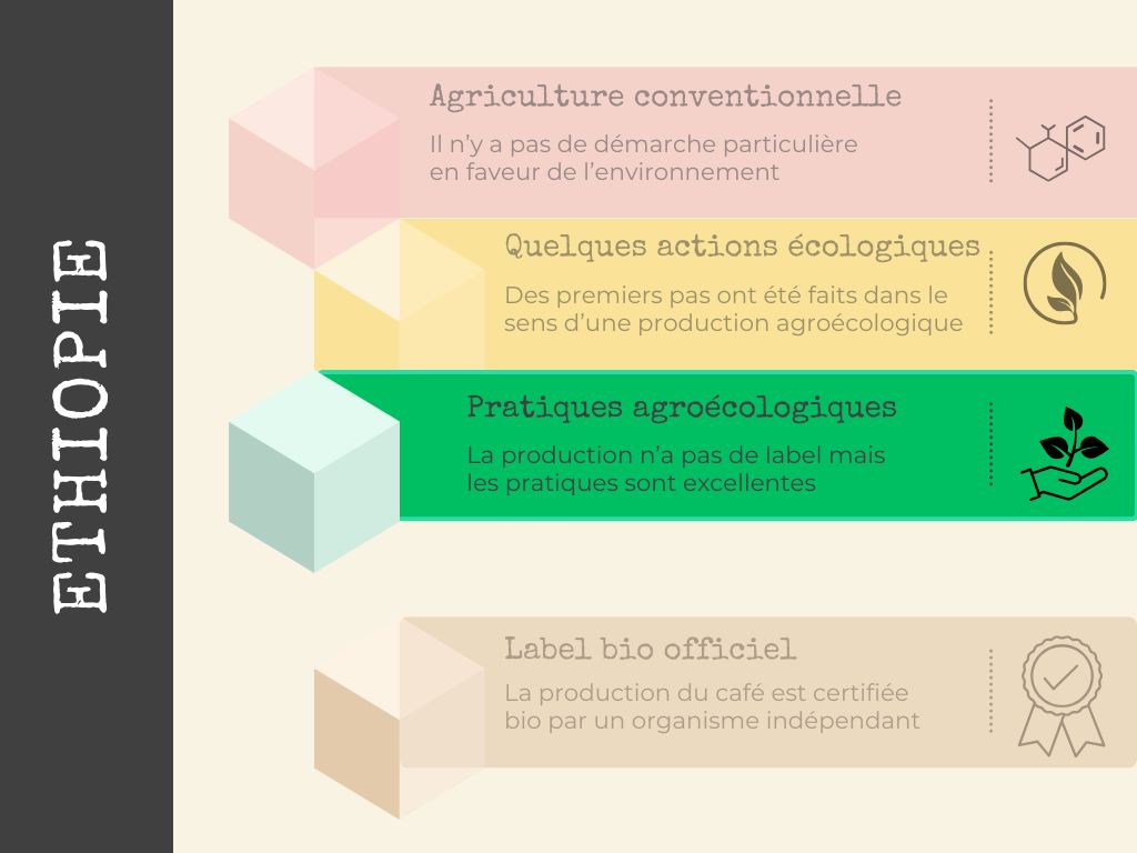 bio ou non au brésil