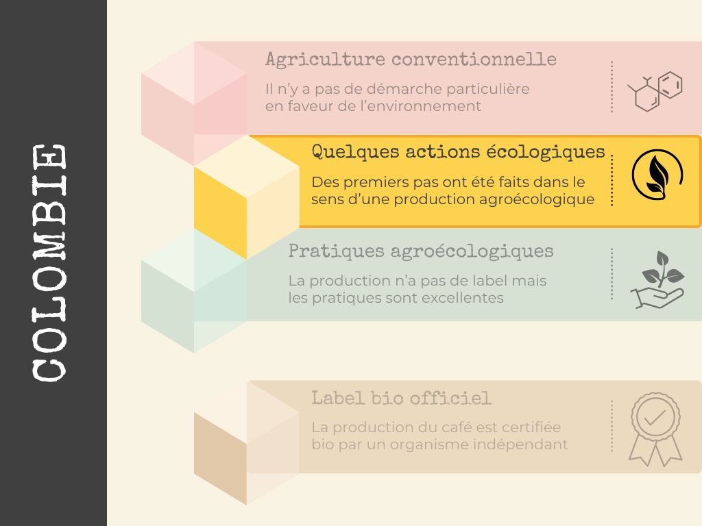 café bio de Colombie