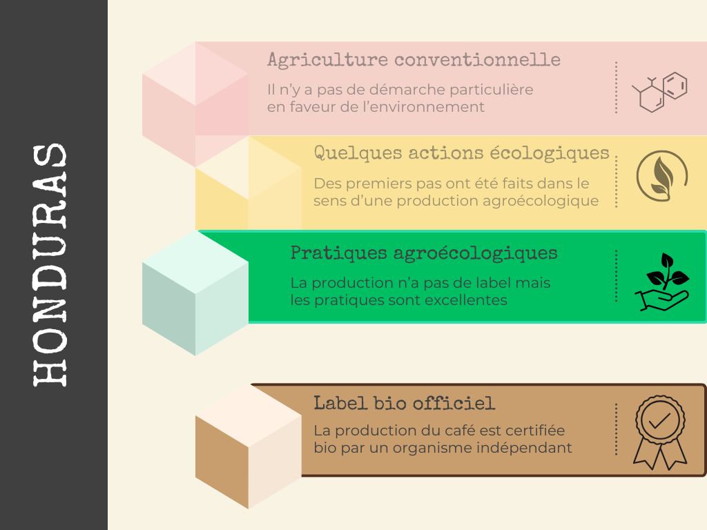 café bio du honduras
