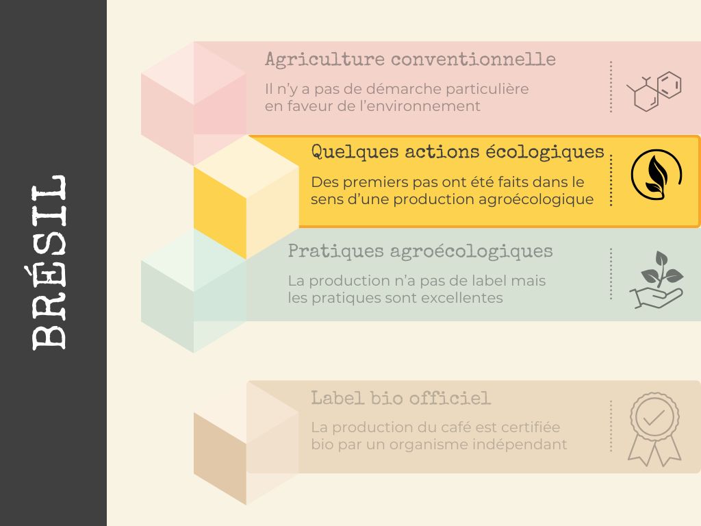 bio ou non au brésil