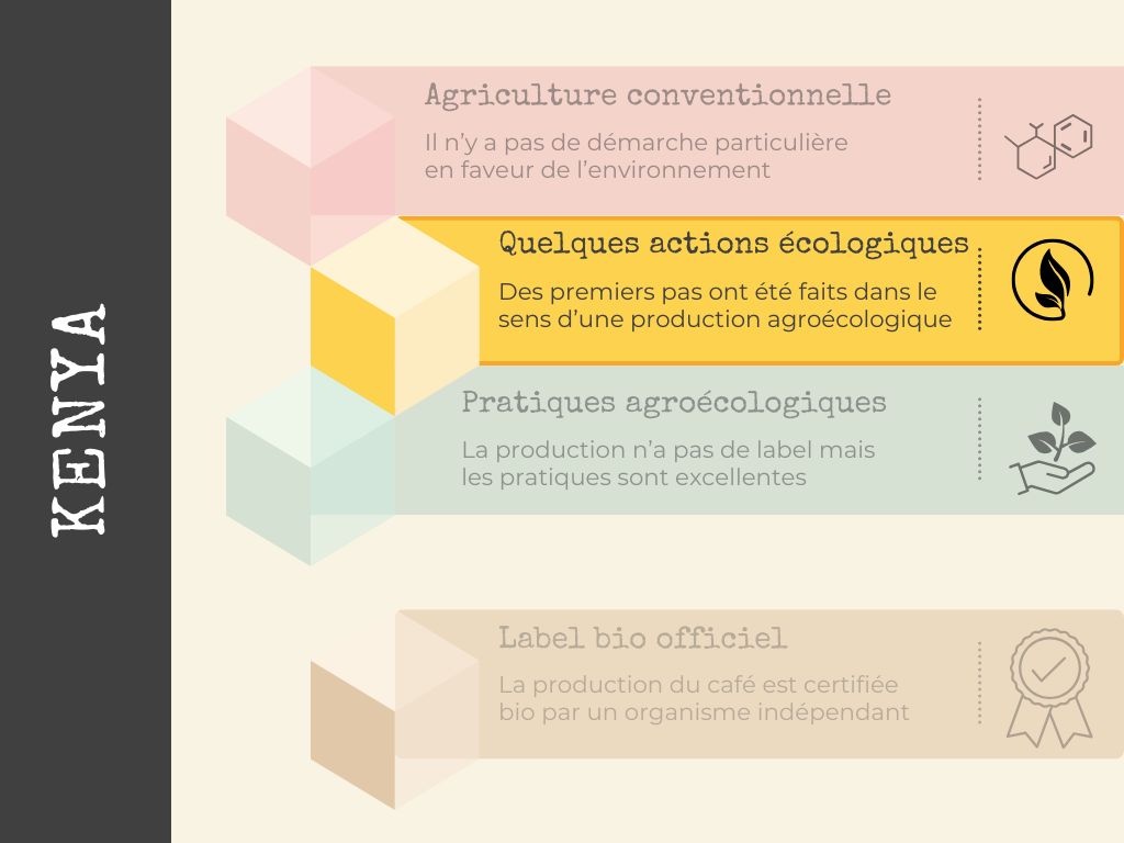 café bio du kenya