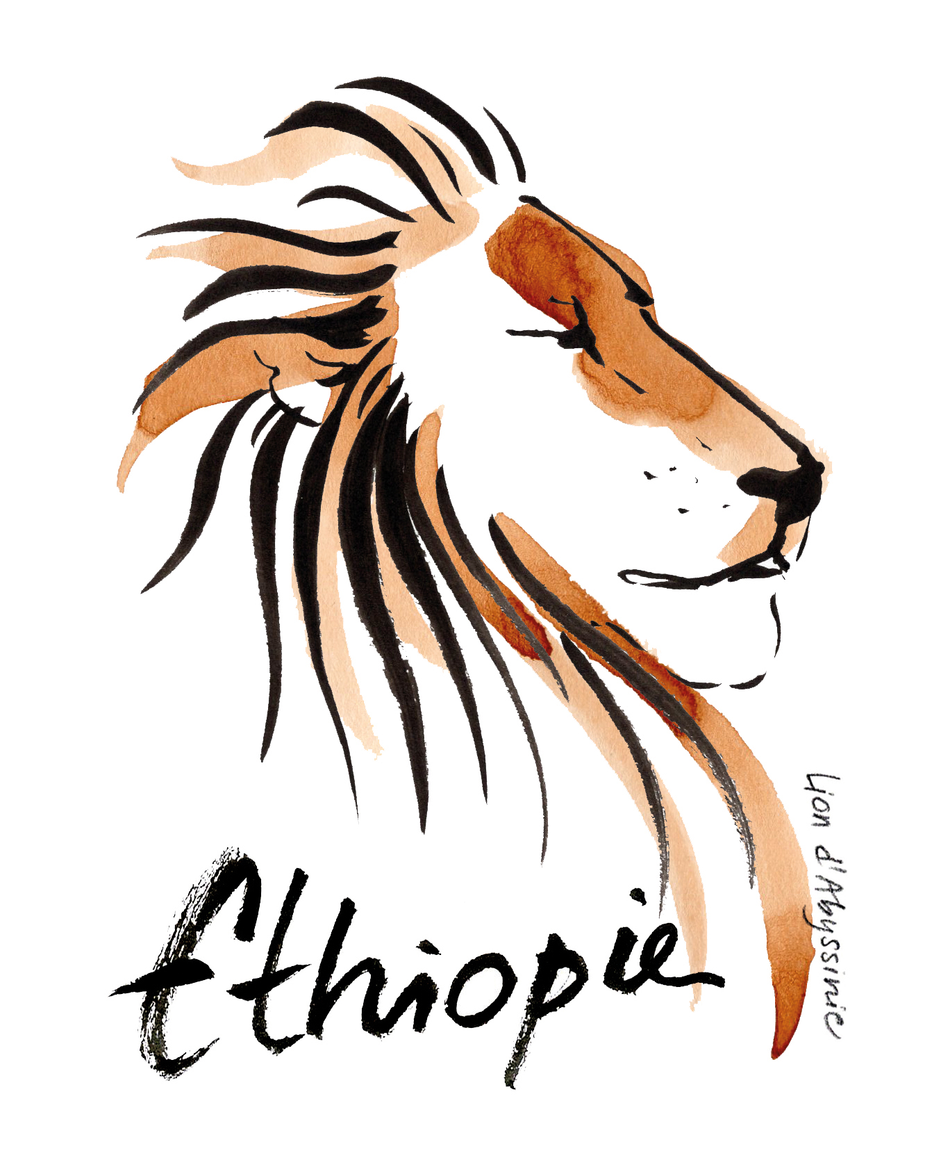 Café de spécialité du Brésil