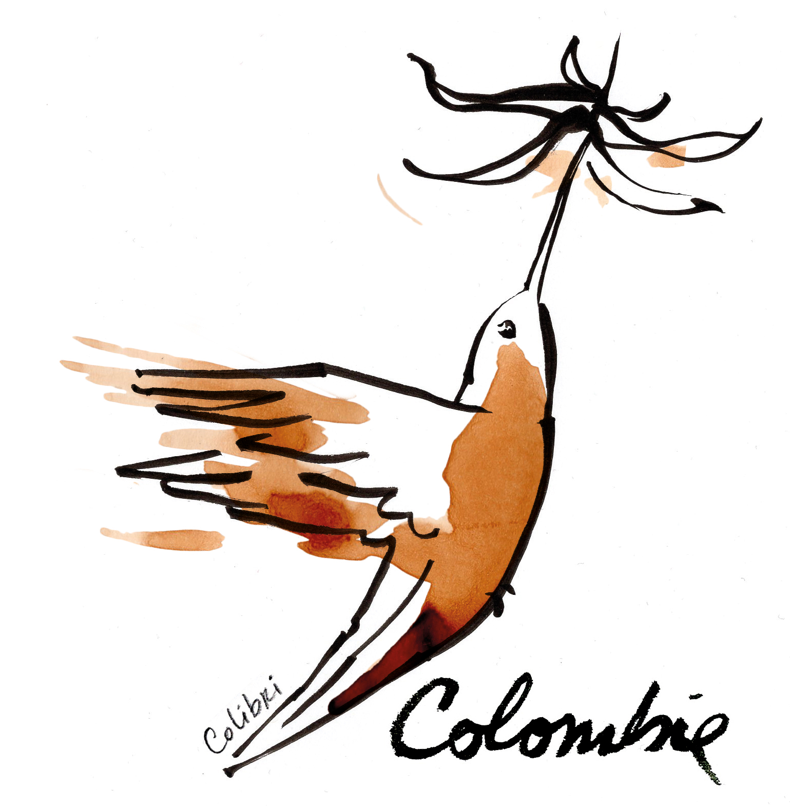 Illustration café de colombie