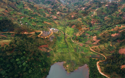 Les cafés de Kaffa sont-ils bio ?