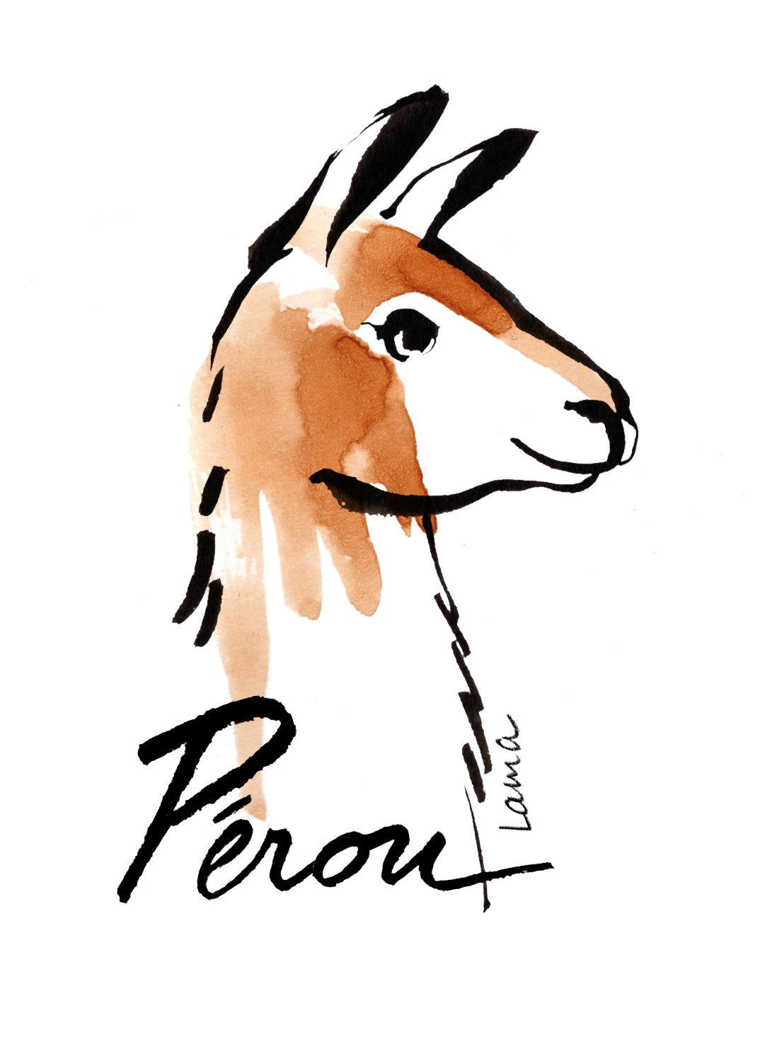 café de spécialité pérou