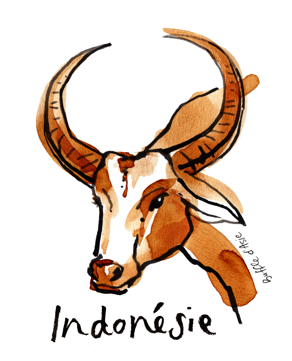 Café de spécialité du Brésil