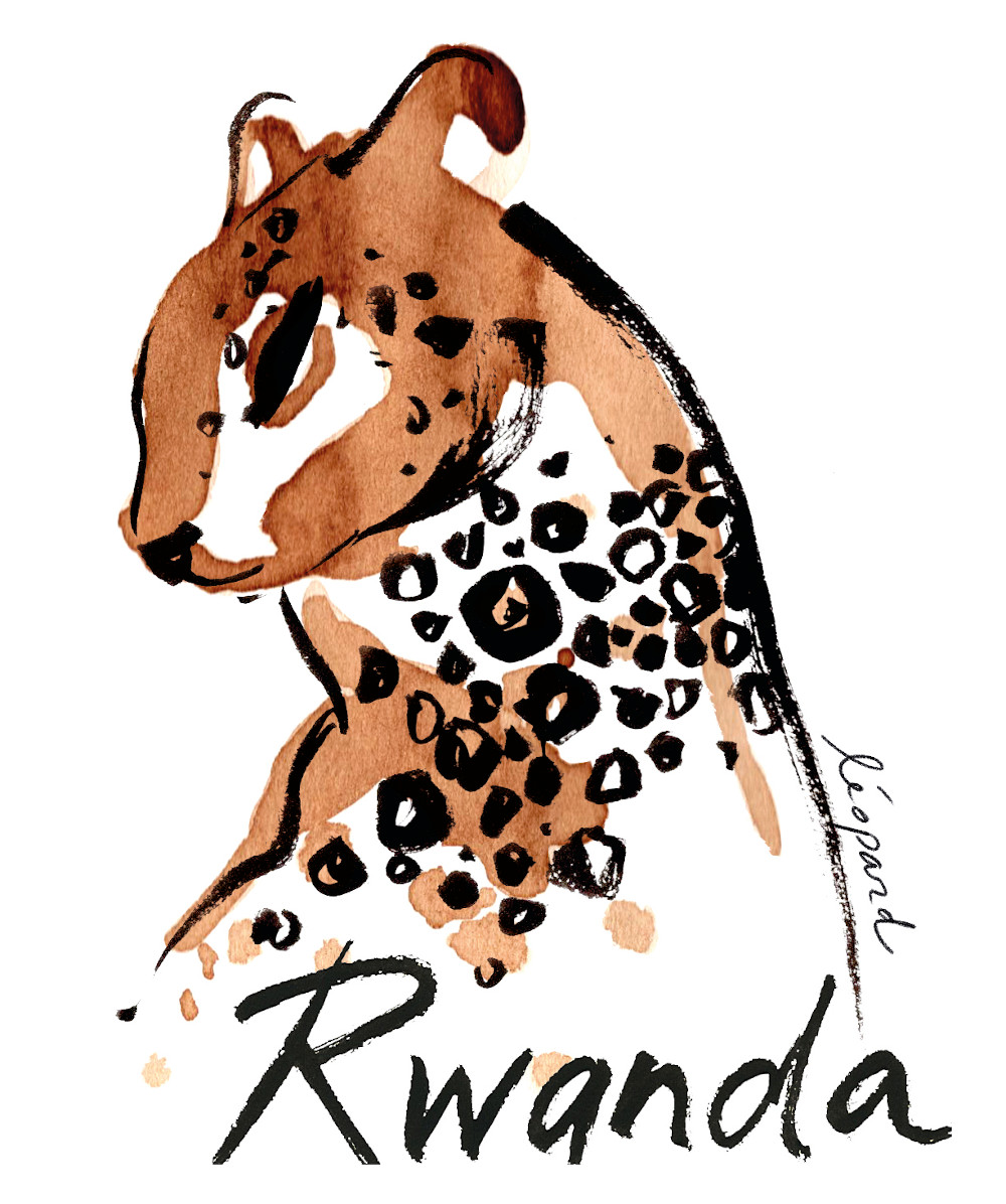 café de spécialité pérou