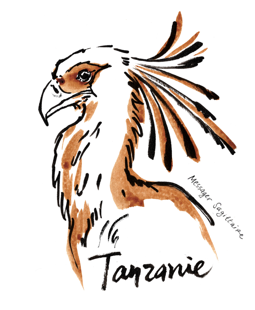 Tanzanie illustration café